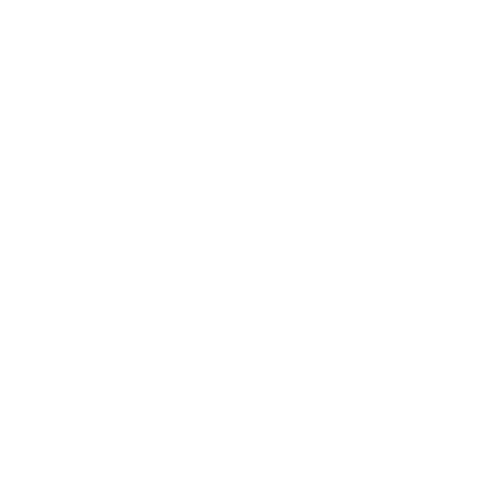 The Security Group